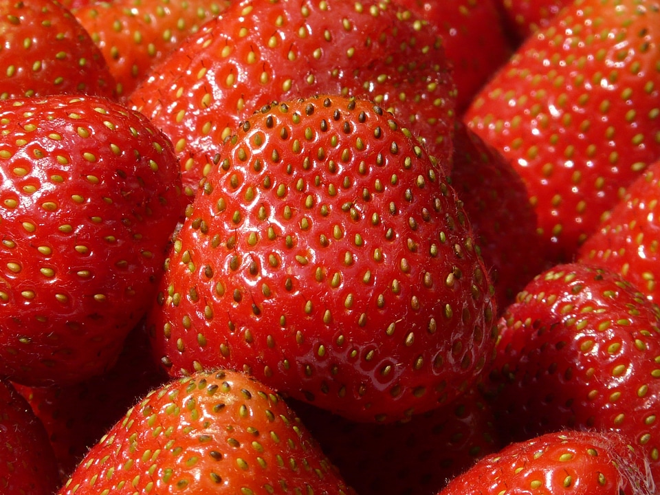 Fruits sweet berries
