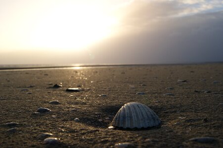 Beach sand sea