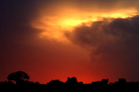 Sunset africa nature