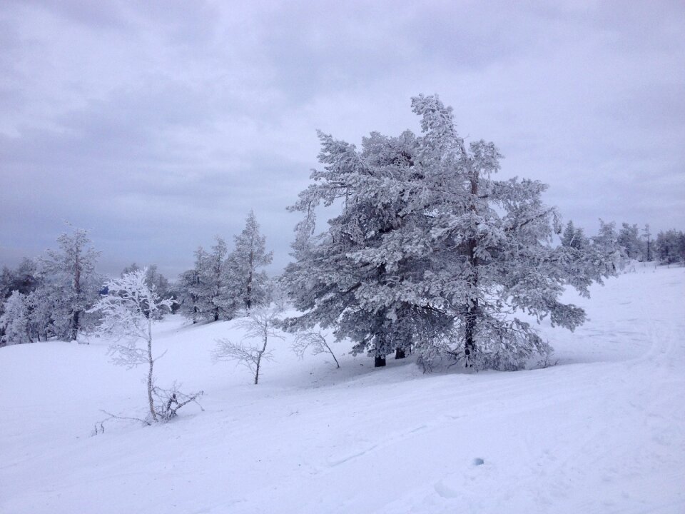 Ylläs lapland snow