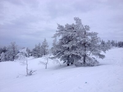 Ylläs lapland snow