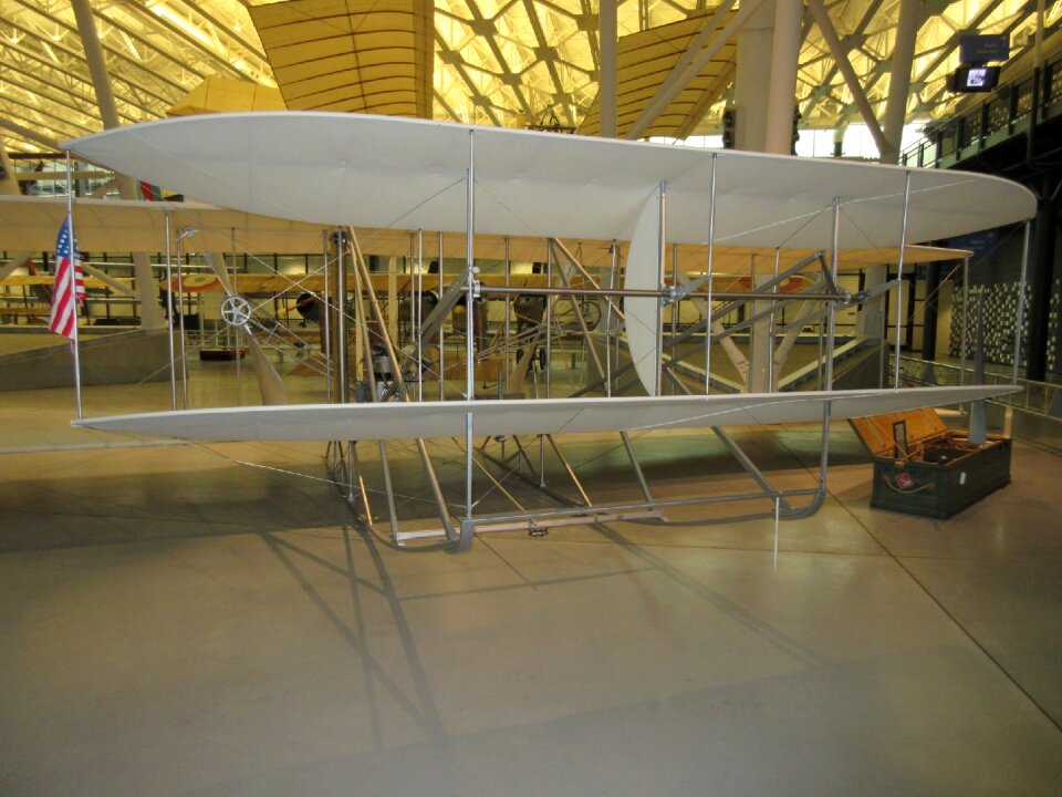 Airplane hawk kitty