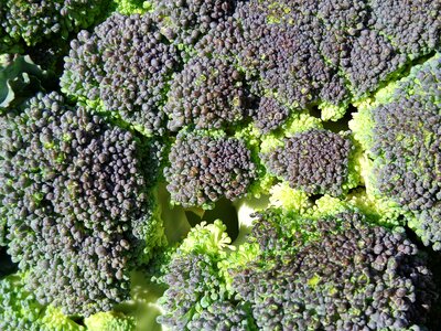 Eating plant healthy food