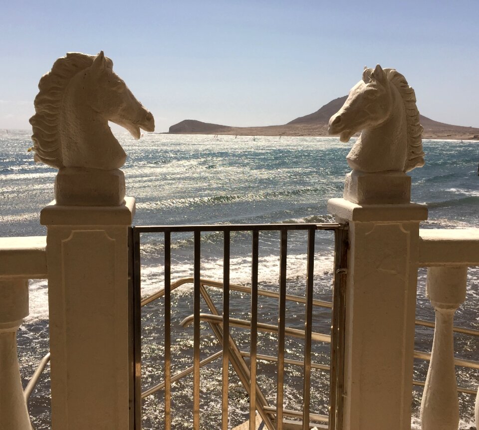 Horse heads sea view