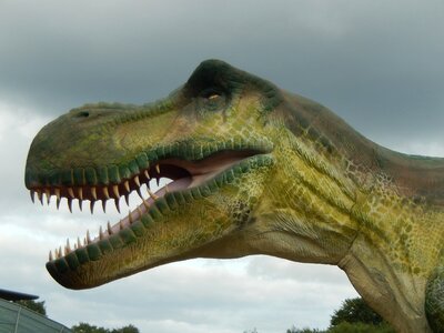 Prehistory dinosaur caves