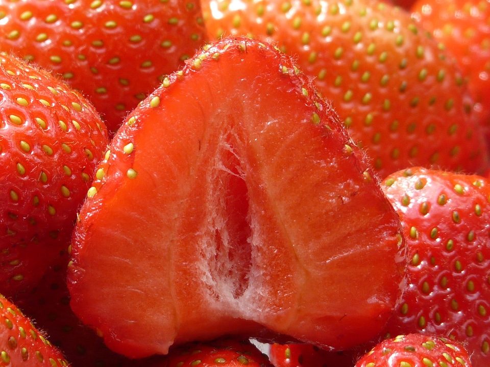 Red fruits sweet