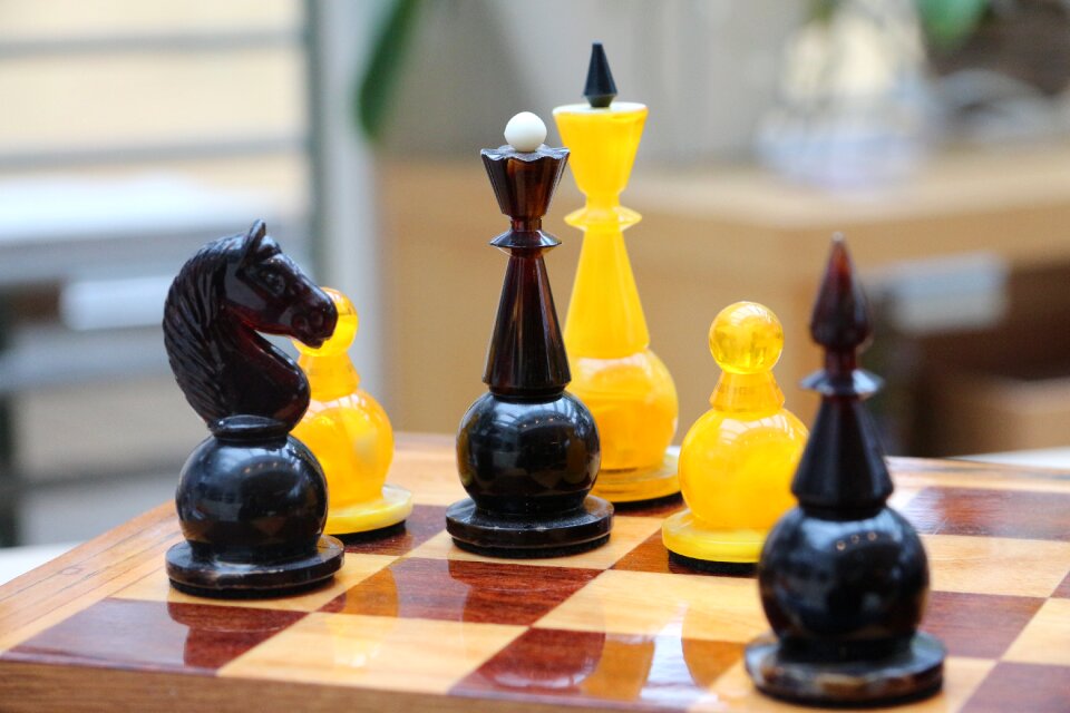 Chess game king lady