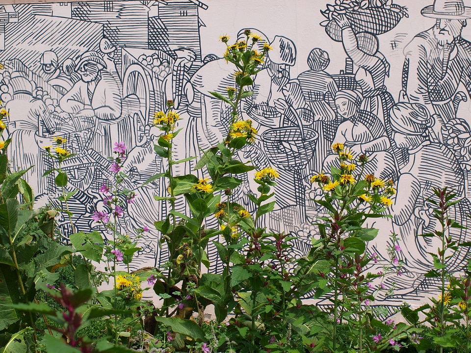 Image art flower