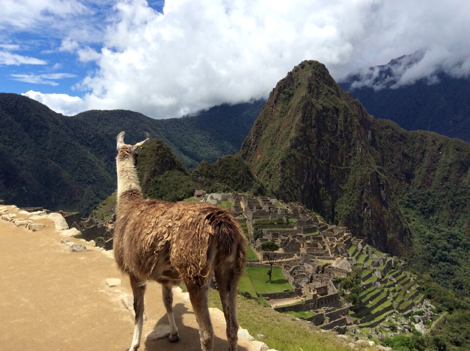 Macchu pichu flame peru