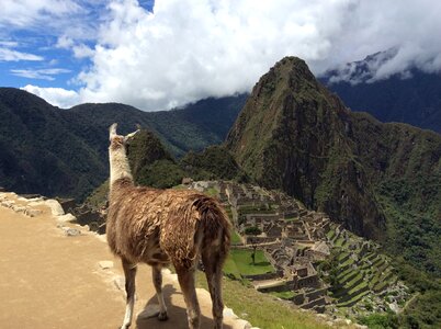 Macchu pichu flame peru