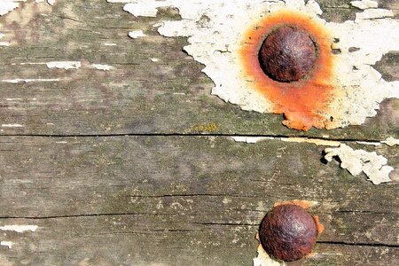 Screw rusty rust