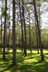 Woods hokkaido furano