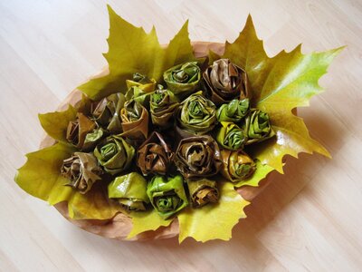 Roses autumn autumn leaf