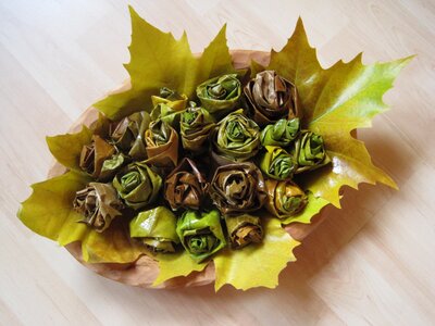 Roses autumn autumn leaf photo