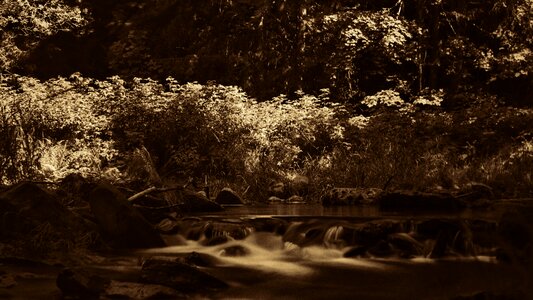 Summer mood idyllic