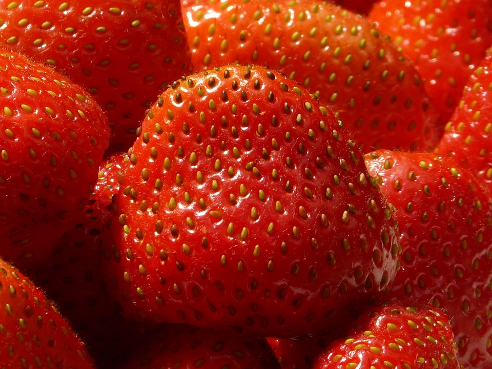 Fruits sweet berries