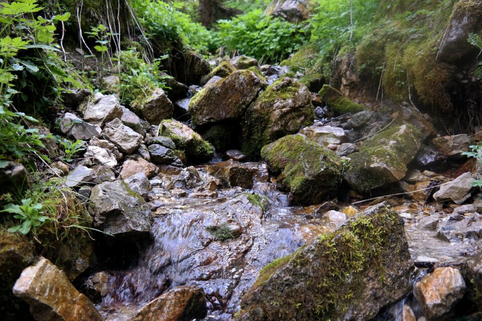 Water nature river