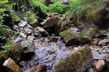Water nature river