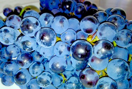 Fruit food dish