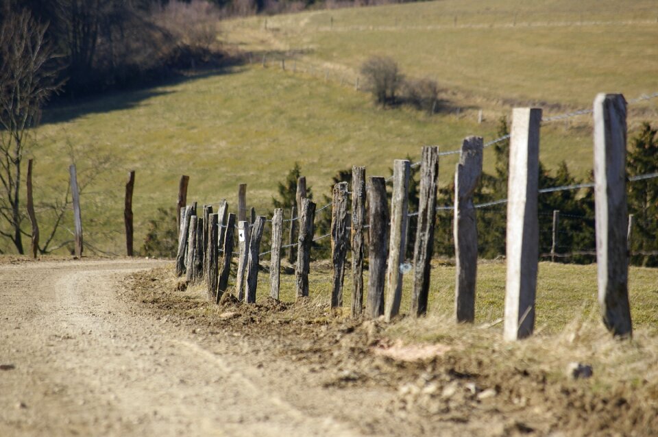 Fence nature landscape
