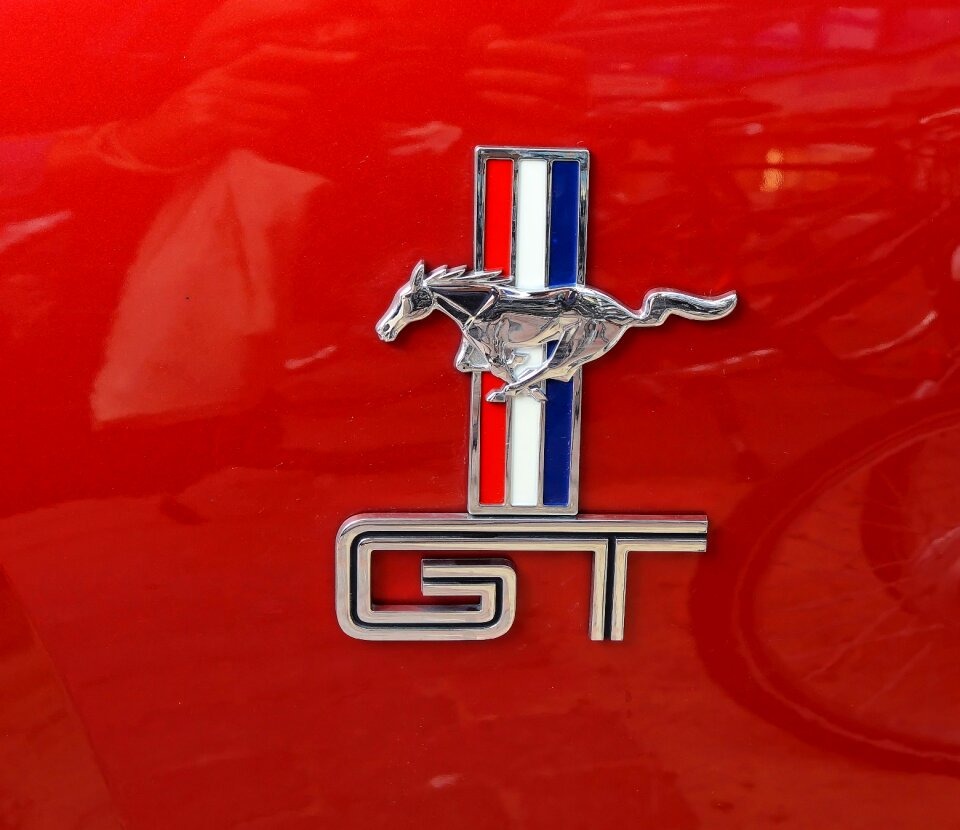 Body logo emblem
