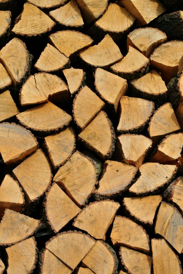 The bark firewood the structure of the