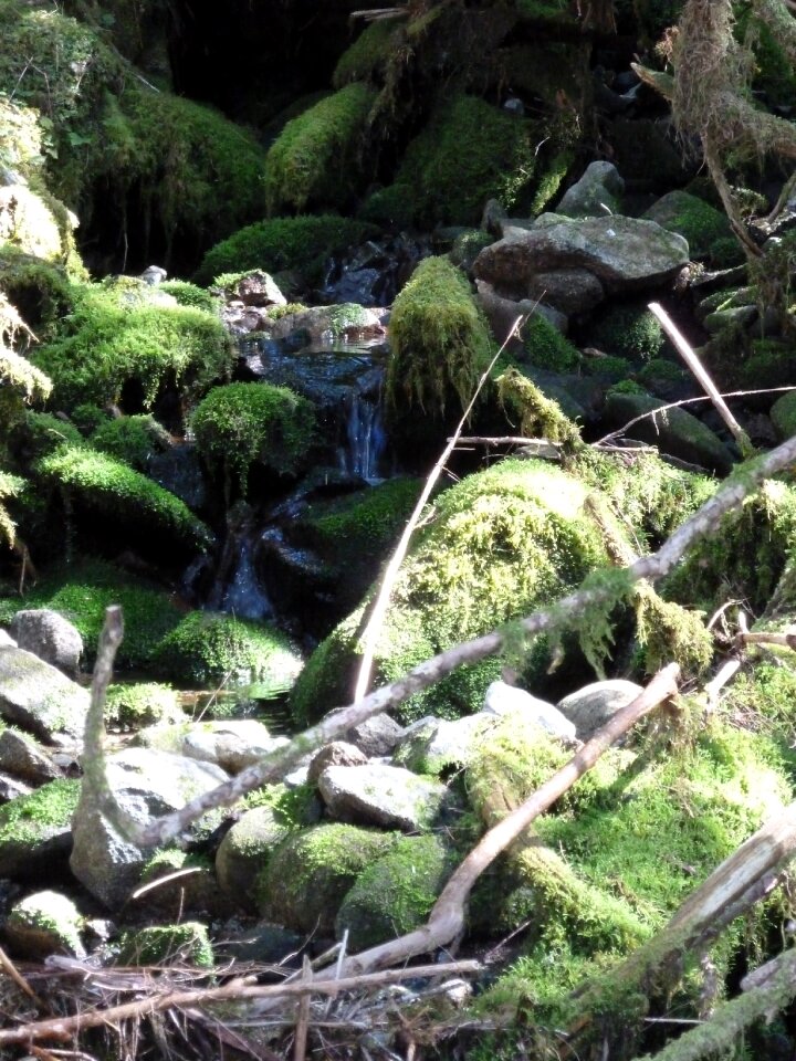 Nature water