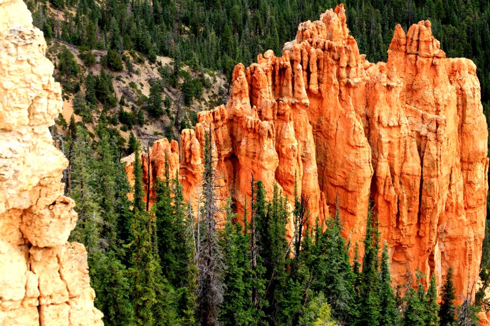 Canyon park nature