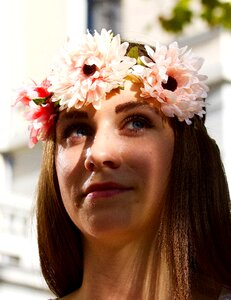 Street parade german longhaired pointer floral decorations