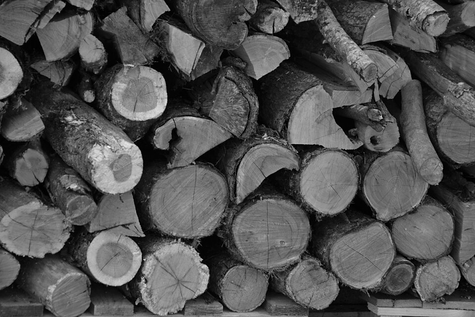 Wood pile cup sawn