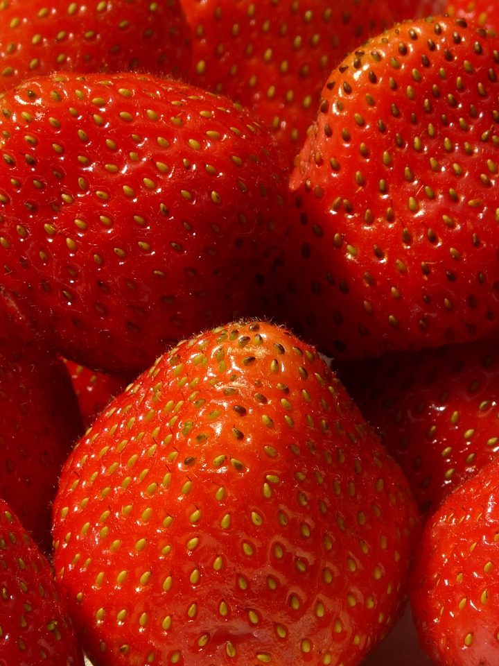 Fruits sweet berries