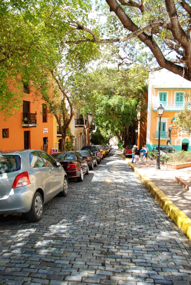 Caribbean cobblestone vibrant