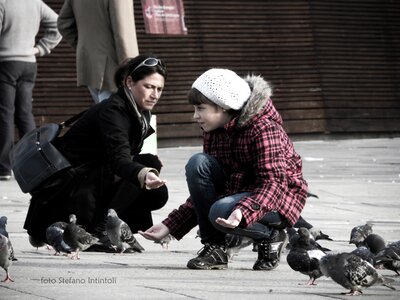 Pigeon colombo little girl photo