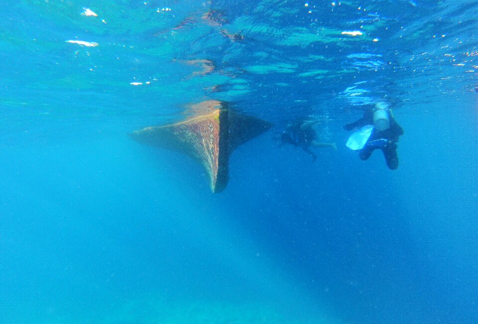 Dream holiday dive boat vacations