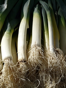 Food vitamins healthy