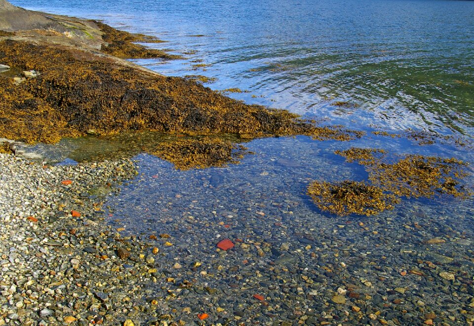Landscape stones clear water