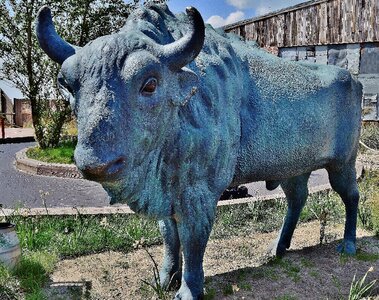 Bull metal art photo