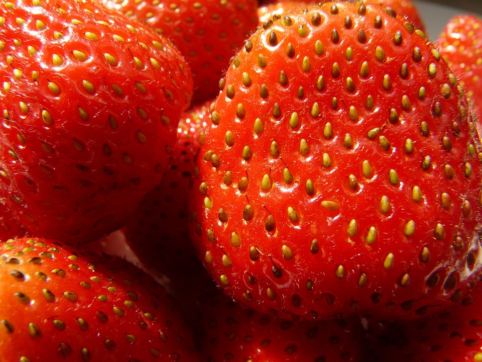 Fruits sweet berries