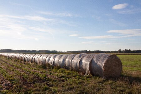 Agriculture hay harvest
