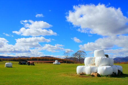 Grass shinshu tractor