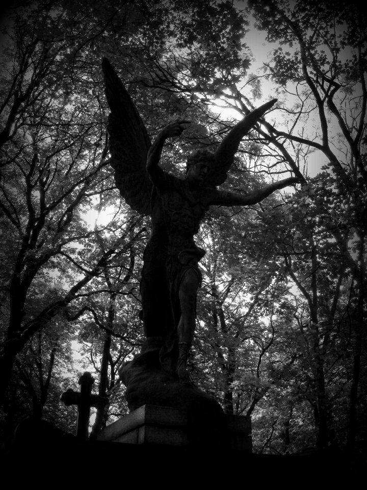 Powązki the tomb of death