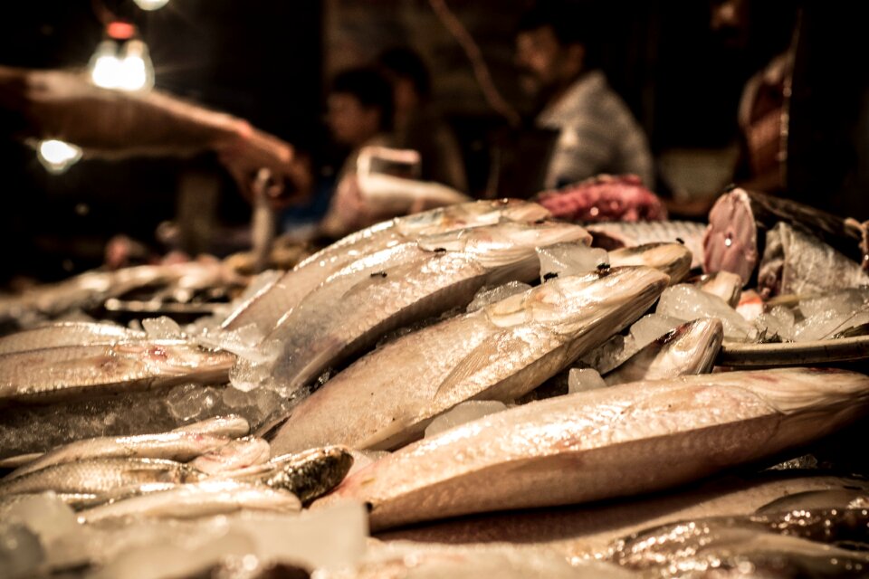 Eating fish market