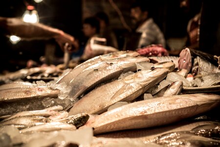Eating fish market photo