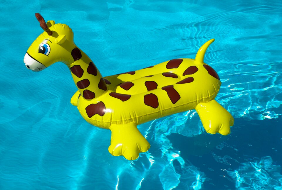 Buoy swimming pool giraffe