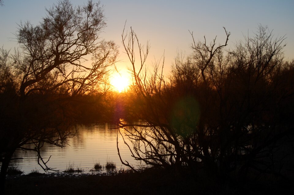 Sunset marsh dark photo