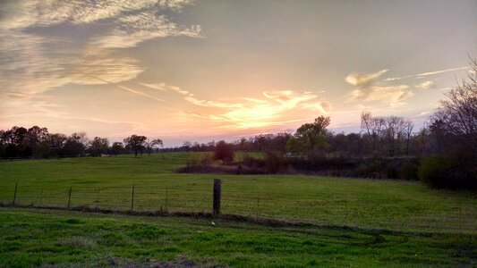 Field trees clouds photo