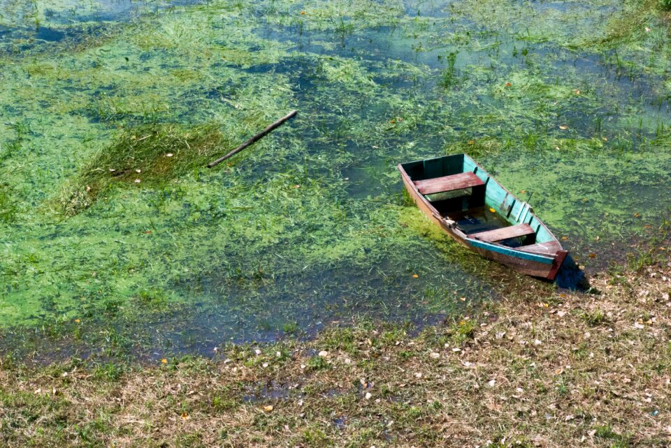Summer lake blue