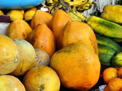 Exotic fruits papayas colorful photo