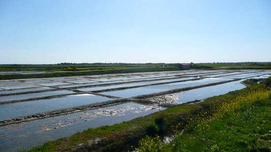 Water liquid landscape