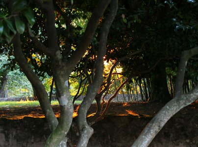 Darkness sunset park